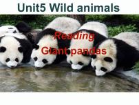 八年级上册Unit 5 Wild animals示范课课件ppt