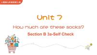 初中英语人教新目标 (Go for it) 版七年级上册Unit 7 How much are these socks?Section B优质课ppt课件