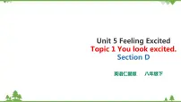 仁爱科普版八年级下册Topic 1 You look excited优秀课件ppt