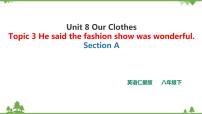 初中英语Topic  3  He said the fashion show was wonderful.评优课课件ppt