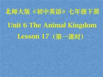 初中英语Lesson 17 Interesting Animals图文课件ppt