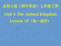 英语北师大版Lesson 18 An Animal Story教课课件ppt