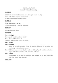 初中英语冀教版七年级下册Lesson 48 Li Ming's Summer Holiday教案