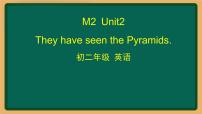 英语八年级下册Unit 2  They have seen the Pyramids.课前预习课件ppt