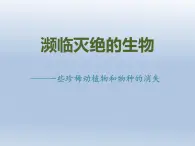 瀕臨滅絕的生物——一些珍稀動植物 課件