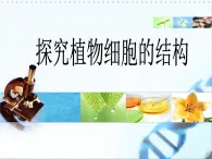 生物的基本單位——探究植物細胞的結(jié)構(gòu) 課件