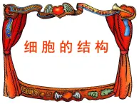 生物的基本單位——細胞的結(jié)構(gòu) 課件