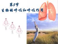 初中科学浙教版八年级下册第3章 空气与生命第5节 生物的呼吸和呼吸作用教案配套课件ppt