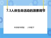 第7章第3節(jié)人體生命活動(dòng)的激素調(diào)節(jié)（課件+教案+練習(xí)+視頻）