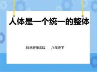 第7章第4節(jié)人體是一個(gè)統(tǒng)一的整體（課件+教案+練習(xí)+視頻）
