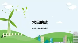 新華師大版化學(xué)九年級上冊3.3 常見的鹽 （第2課時）課件+教案+練習(xí)
