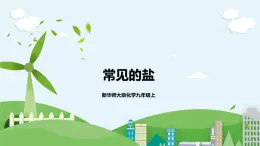 新華師大版化學(xué)九年級上冊3.3 常見的鹽（第一課時）課件+教案+練習(xí)