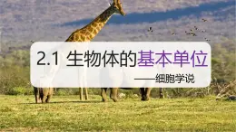 （浙教版2024）七年級上冊科學(xué)同步課件2-1生物體的基本單位（第1課時） 課件