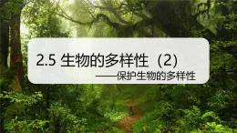 （浙教版2024）七年級上冊科學(xué)同步課件2-5生物的多樣性（第2課時） 課件