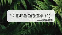 浙教版（2024）七年級上冊第2節(jié) 細胞課前預習課件ppt