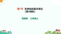 浙教版（2024）七年級上冊（2024）第1節(jié) 生物體的基本單位完美版ppt課件