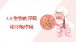 3.5.1《生物的呼吸作用》課件 浙教版科學(xué)八年級下冊