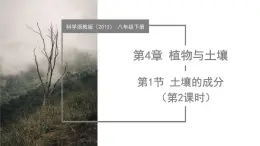 4.1 土壤的成分（第2課時）（教學(xué)課件）-2024-2025學(xué)年八年級科學(xué)下冊（浙教版）