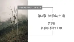 4.2 各種各樣的土壤（教學(xué)課件）-2024-2025學(xué)年八年級科學(xué)下冊（浙教版）