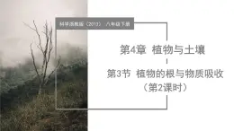 4.3 植物的根與物質(zhì)吸收（第2課時）（教學(xué)課件）-2024-2025學(xué)年八年級科學(xué)下冊（浙教版）