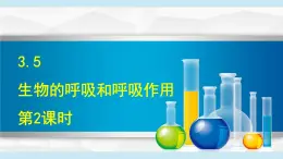 2025年春八年級下冊科學(xué)（浙教版）上課課件 3.5 生物的呼吸和呼吸作用第2課時