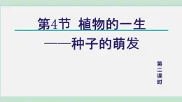 2025年春七年級下冊科學(xué)（浙教版）上課課件 第1章 4. 植物的一生 第2課時