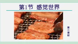 2025年春七年級下冊科學(xué)（浙教版）上課課件 第2章 1. 感覺世界 第2課時