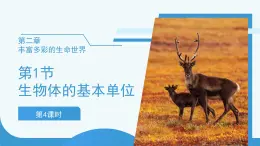 (新課標)初中科學(xué)浙教版七年級上冊2.1 生物體的基本單位 第4課時課件