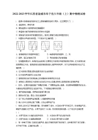 2022-2023学年江苏省盐城市阜宁县八年级（上）期中物理试卷(含答案解析)