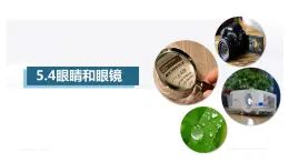5.4眼睛和眼镜（課件）