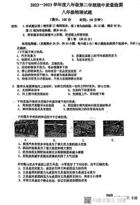 山东省青岛市第三十九中学2022—2023学年下学期八年级期中物理试题