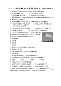2022-2023学年湖南省怀化市通道县八年级（上）期末物理试卷（含解析）