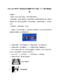 2022-2023学年广东省茂名市博雅中学八年级（下）期中物理试卷（含解析）
