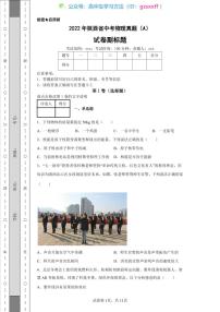 2022年陜西省中考物理真題（A）
