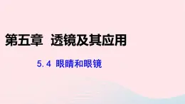 第五章透镜及其应用5.4眼睛和眼镜課件（人教版八上物理）
