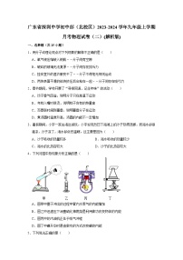 广东省深圳中学初中部（北校区）2023-2024学年九年级上学期月考物理试卷