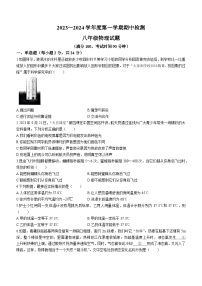 江苏省徐州市2023-2024学年八年级上学期11月期中物理试题