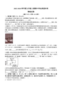 河南省漯河市召陵区2023-2024学年九年级上学期11月期中物理试题