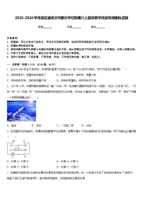2023-2024学年湖北省武汉市部分学校物理八上期末教学质量检测模拟试题含答案
