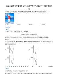 广东省佛山市三水中学附中2022-2023学年八年级下学期期中物理试题（解析版）