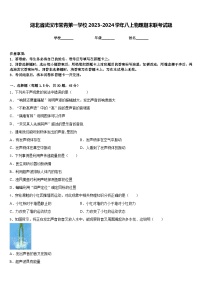 湖北省武汉市常青第一学校2023-2024学年八上物理期末联考试题含答案