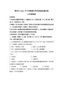 湖南省郴州市2023-2024学年九年级（上）期末质量监测物理试题（含解析）