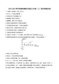 2022-2023学年河南省鹤壁市浚县九年级（上）期末物理试卷（含详细答案解析）