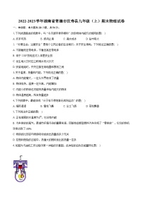 2022-2023学年湖南省常德市汉寿县九年级（上）期末物理试卷（含详细答案解析）
