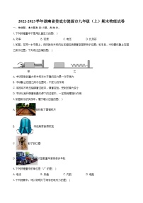 2022-2023学年湖南省娄底市涟源市九年级（上）期末物理试卷（含详细答案解析）