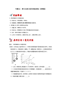 专题03  弹力与重力相关实验训练-2023-2024学年八年级下册物理阶段性专题复习及模拟测试（苏科版）