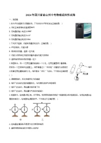 2024年四川省涼山州中考物理適應(yīng)性試卷（含解析）