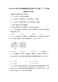 山东省聊城市阳谷县实验中学2022-2023学年八年级下学期6月月考物理试题