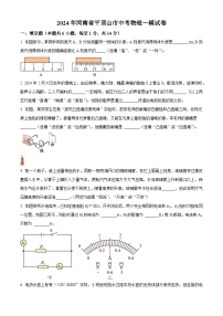 2024年河南省平顶山市中考物理一模试卷 （原卷版+解析版）