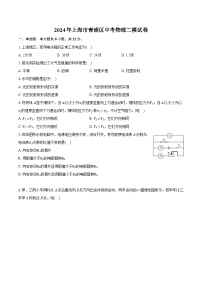 2024年上海市青浦区中考物理二模試卷（含详细答案解析）